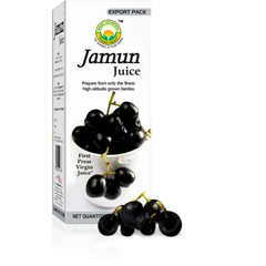 Basic Ayurveda Jamun Juice 16.9 Oz - 480 ml