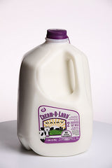 Silk Almond Milk 64 FL Oz- 1.89 L
