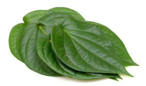 Fresh PAN LEAVES $-Each (5 for $1.49)