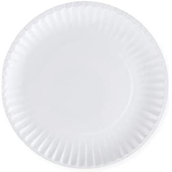 Krasdale Coated Paper Plates  9 Inch (22.8 Cm)  - 100 Plates