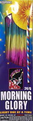 Diwali Firecrackers- Hand held wire sparkles -10 pcs