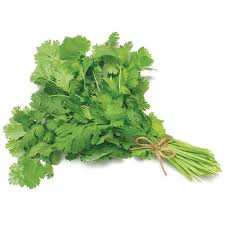 CILANTRO ( DHANA) BUNCH $-EACH