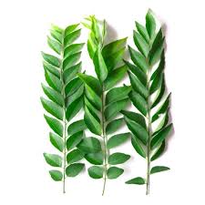 Fresh CURRY LEAVES SMALL PKT $-Each