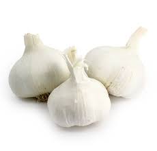 Fresh GARLIC  Bag $-Each