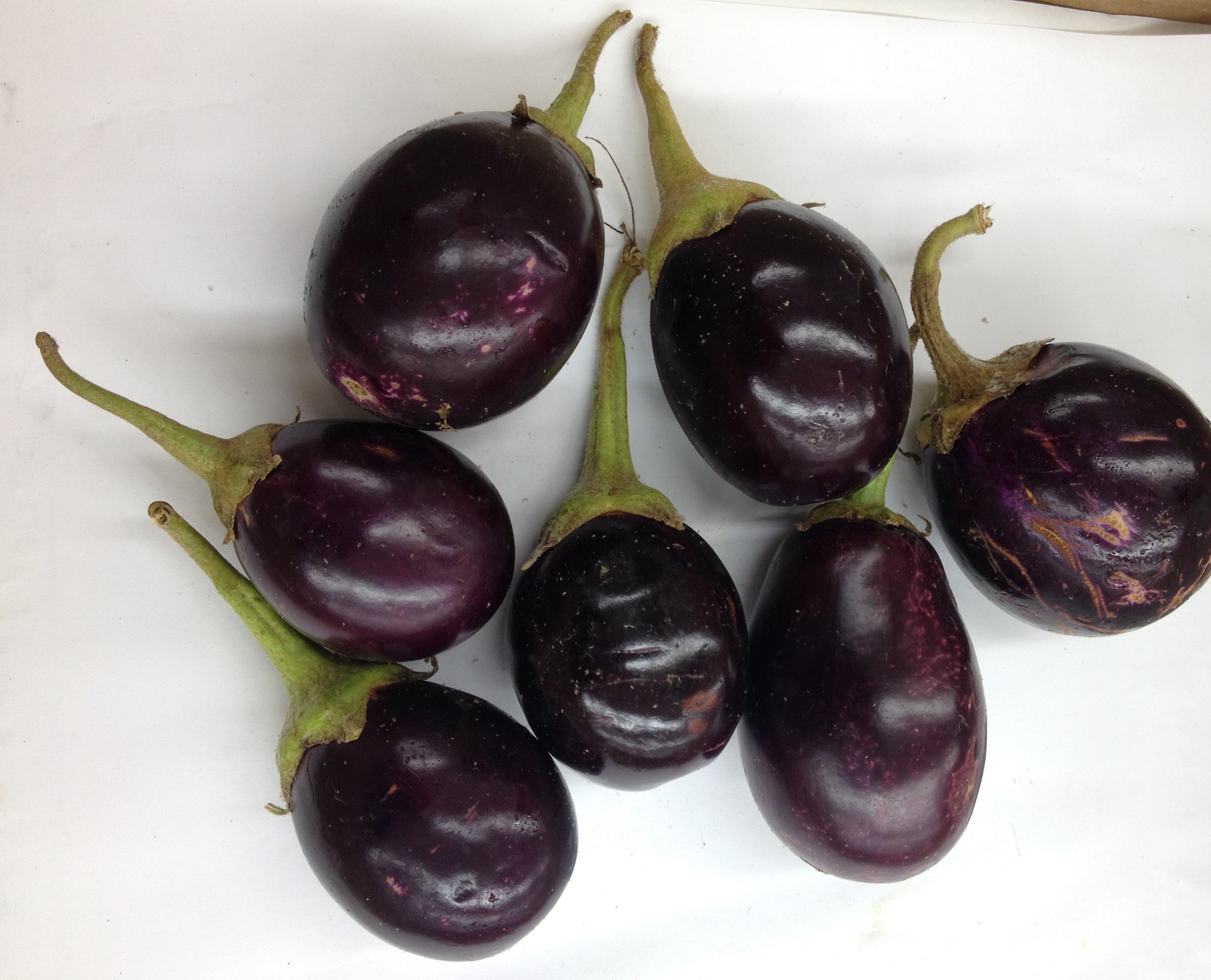 Fresh ROUND EGG PLANT $-Lb