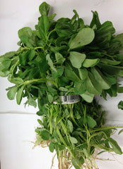 Fresh METHI BUNCH $-EACH