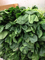 Fresh PALAK ( SPINACH) $-Lb