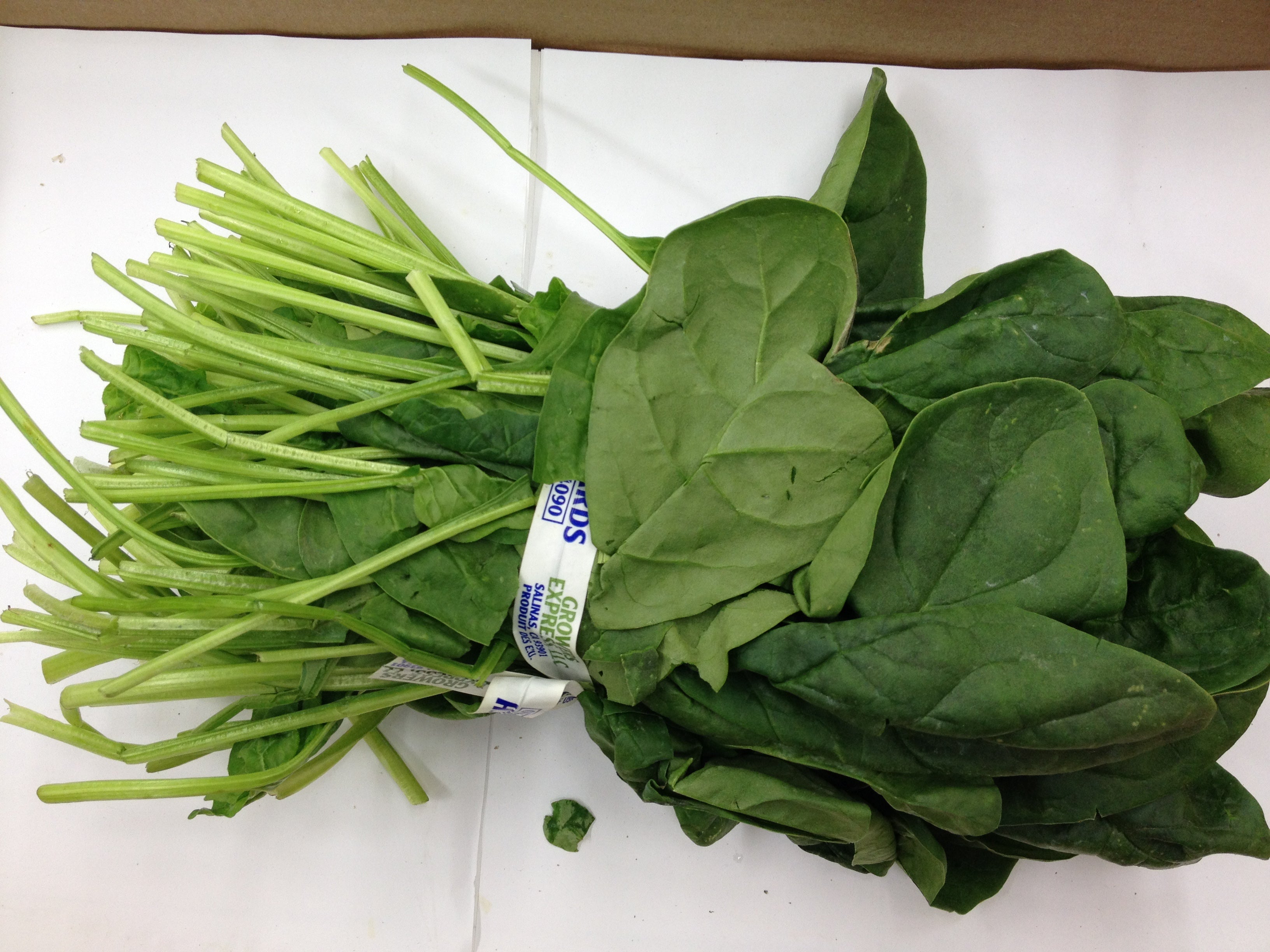 Fresh PALAK ( SPINACH) $-Lb