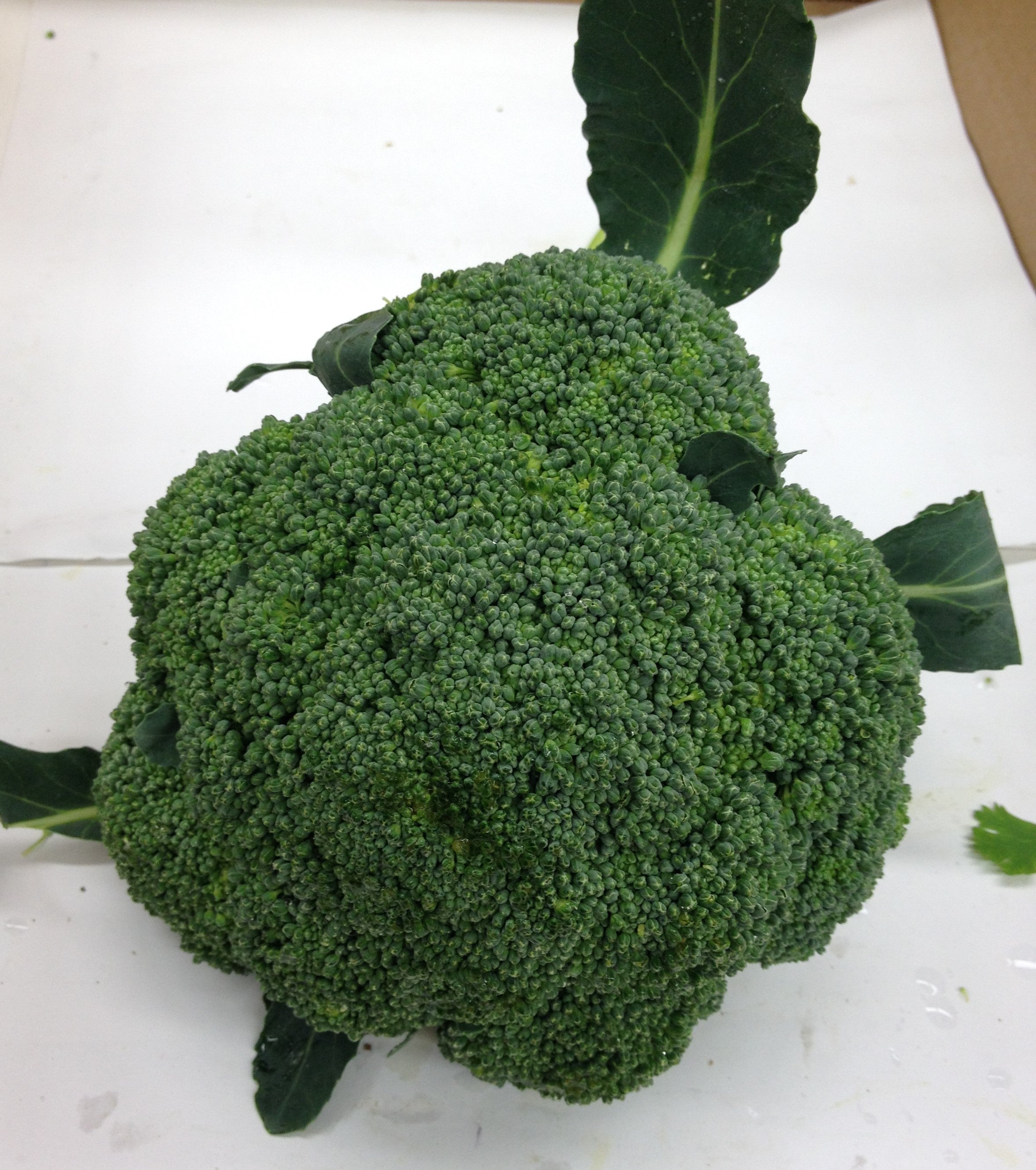 BROCCOLI $-Lb