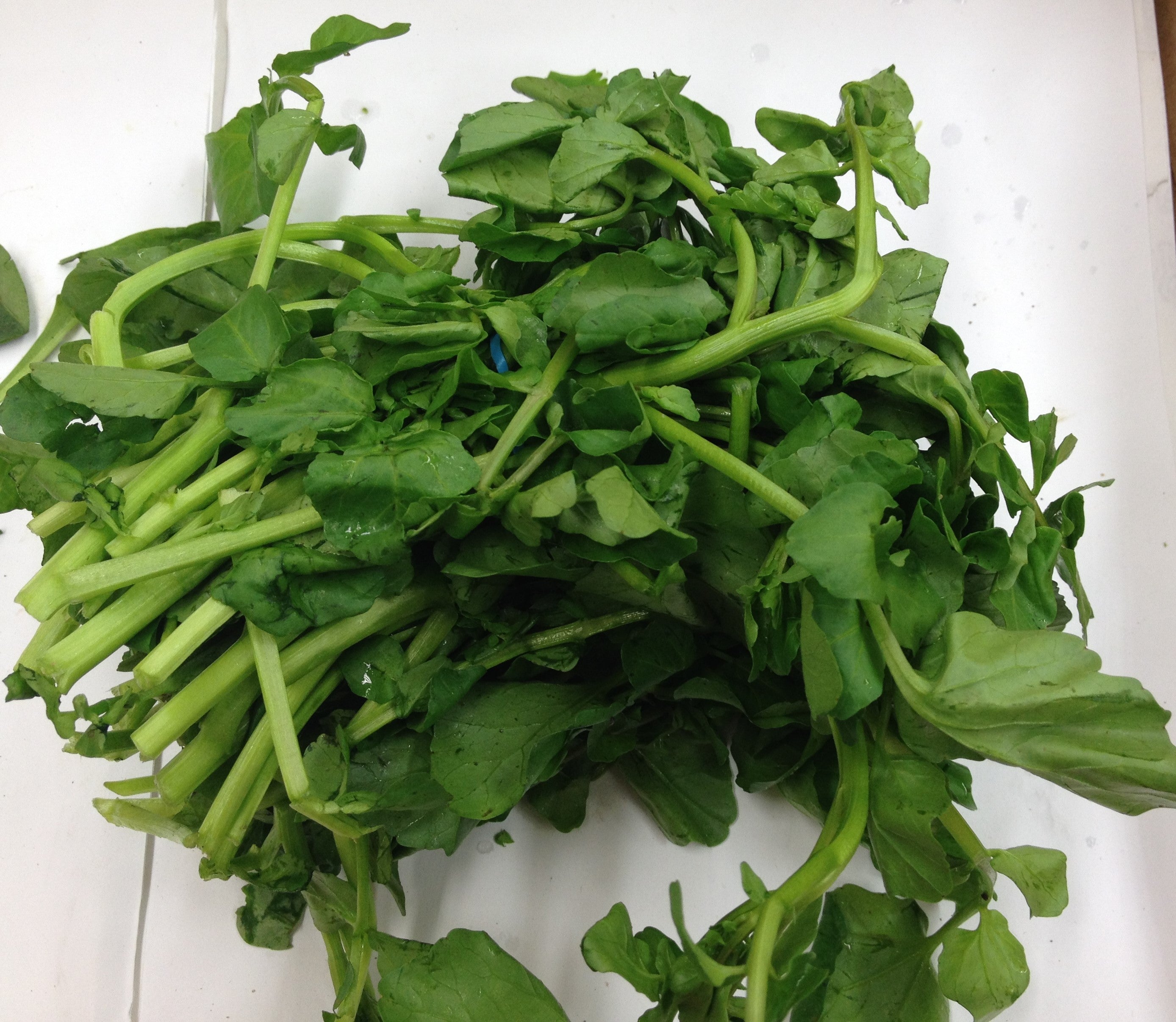 Fresh WATERCRESS $-Each