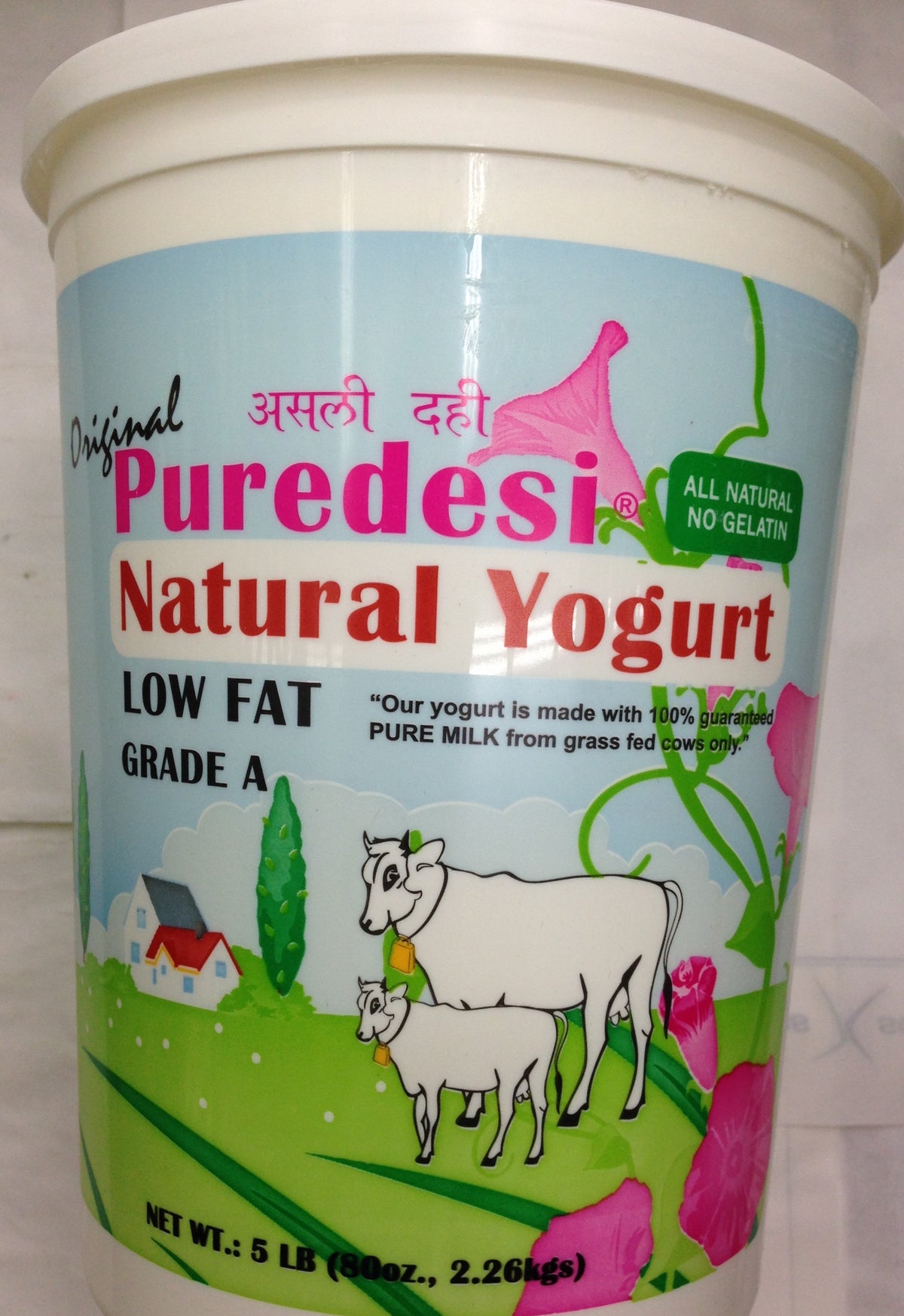 PureDesi Low Fat Dahi Yogurt 80 Oz - 2267.2 Gms