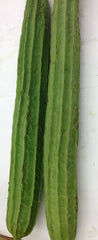 CHINESE OKRA (Turai) $-LB