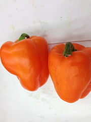 Fresh ORANGE PEPPER $-Lb