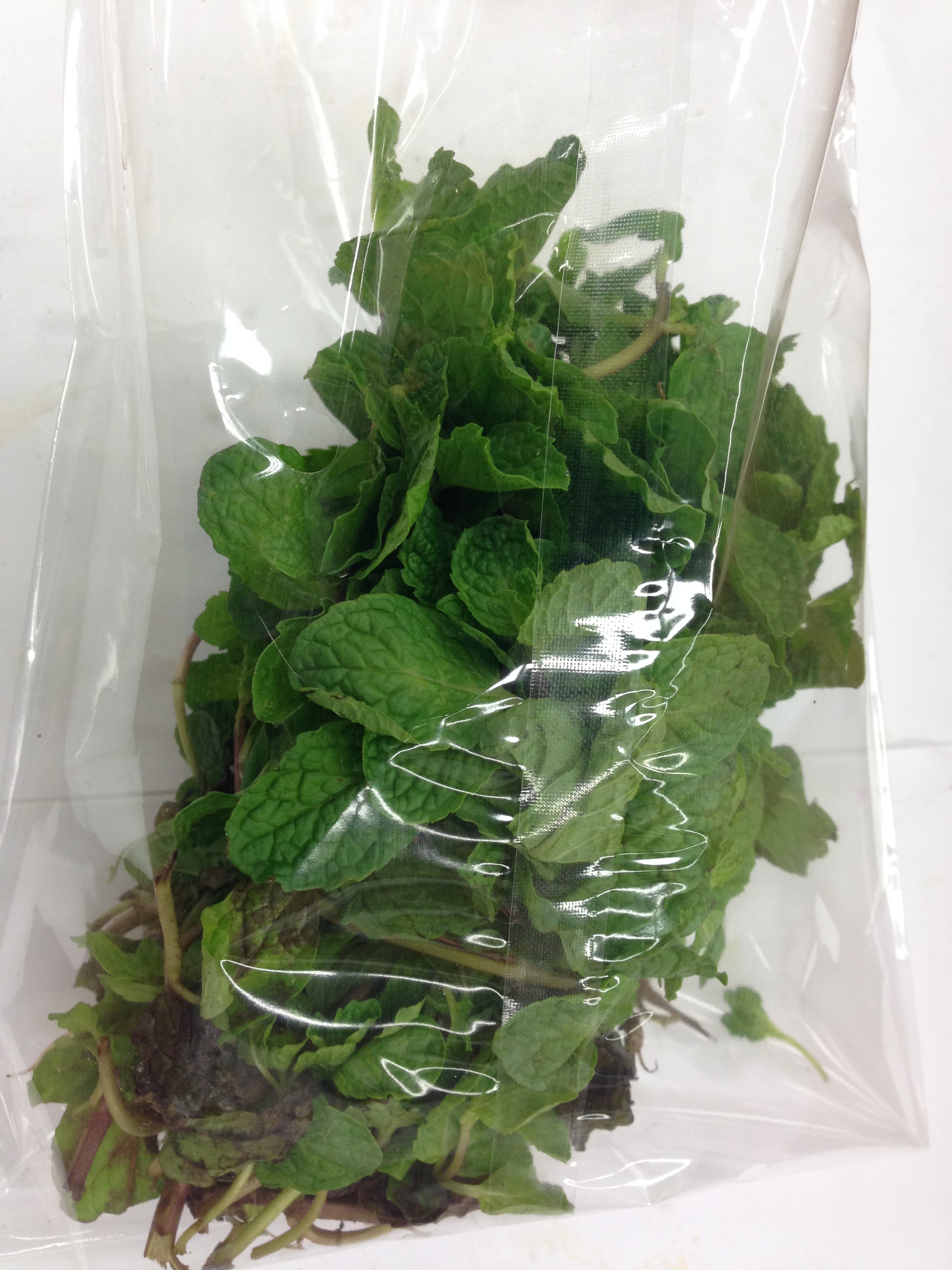 Fresh MINT LEAVES $-Each