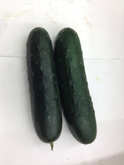 Fresh CUCUMBER $-EACH