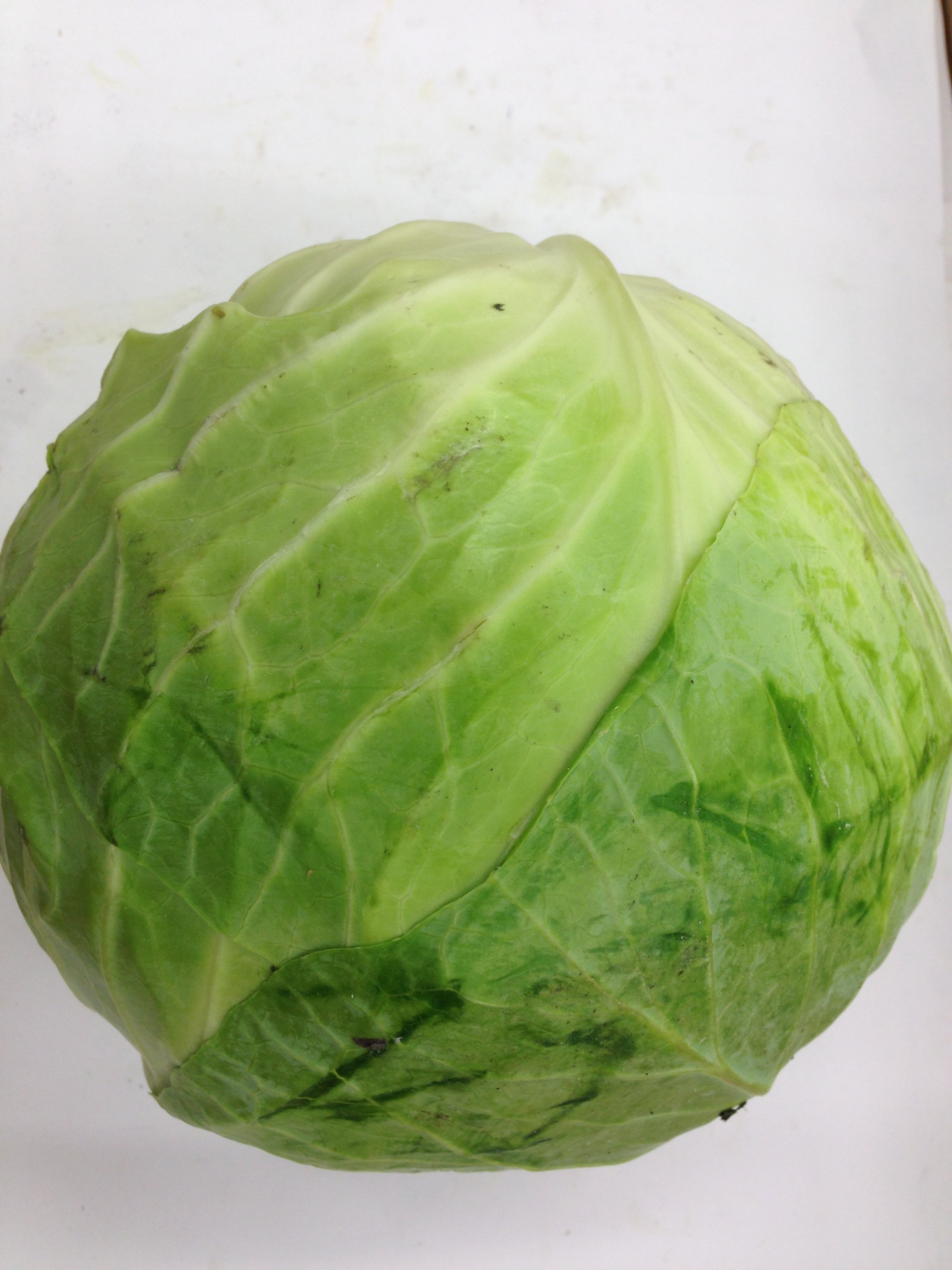 CABBAGE $-Lb