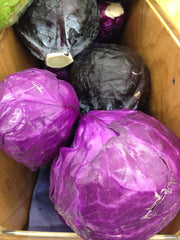 Fresh PURPLE CABBAGE $-Lb