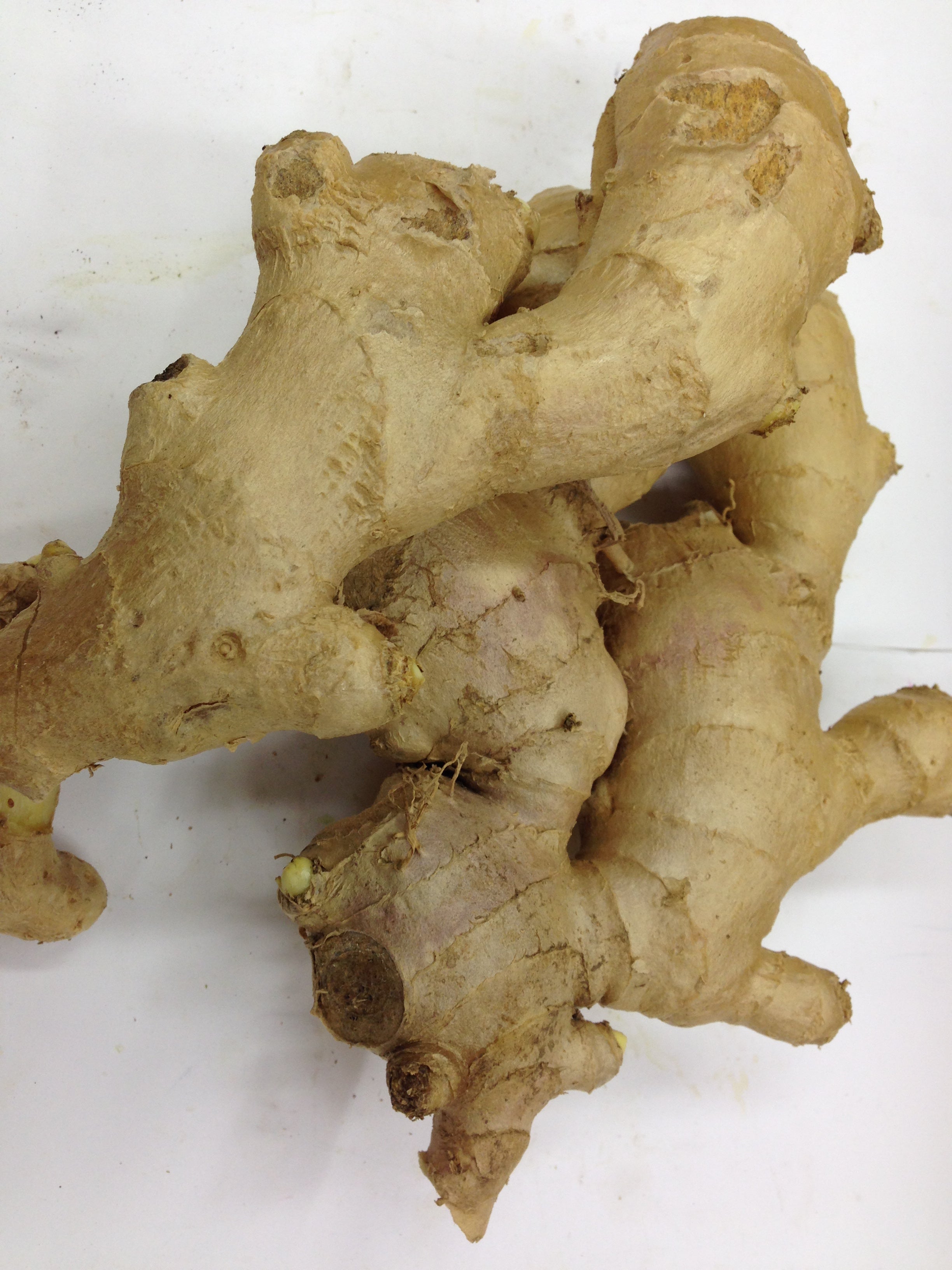 Fresh Organic GINGER $-Lb