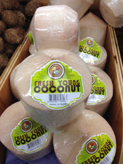 Fresh YOUNG COCONUT $-Each