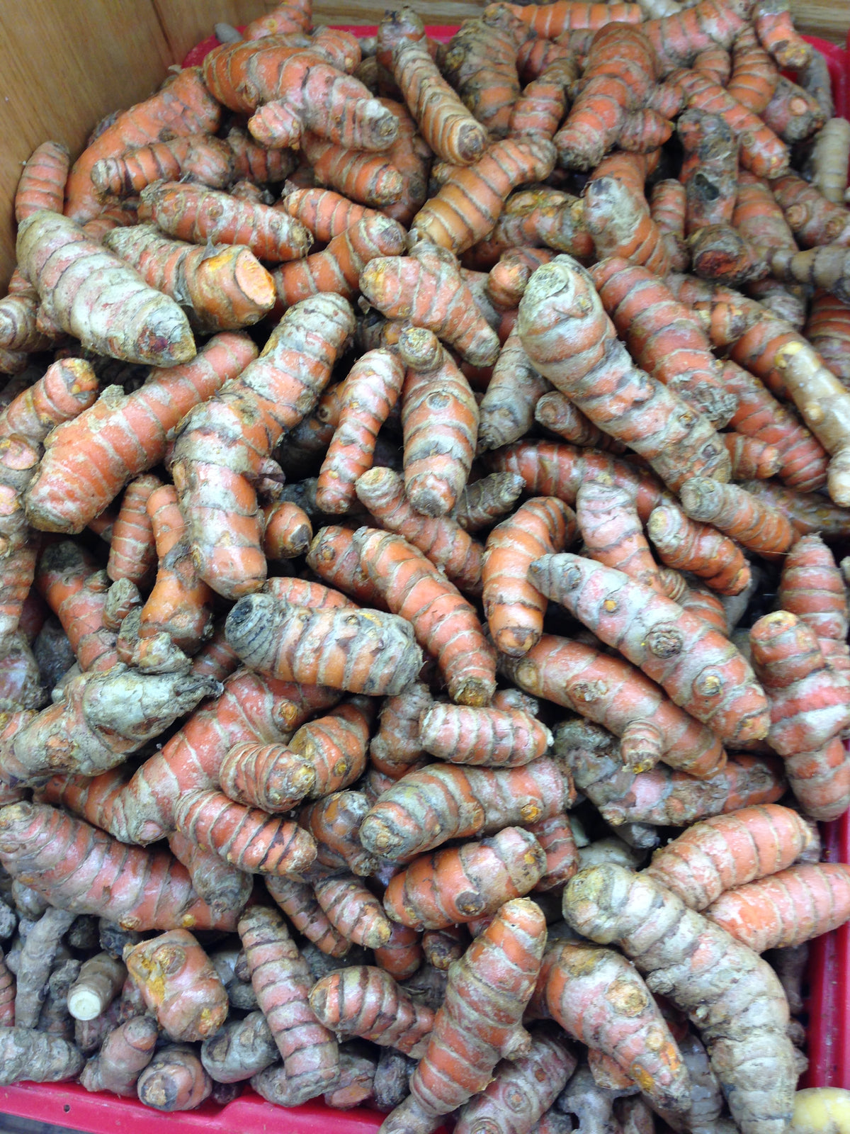 Fresh YELLOW TURMERIC $-Lb