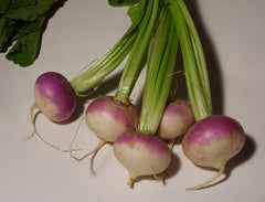 Fresh Turnip $-Lb