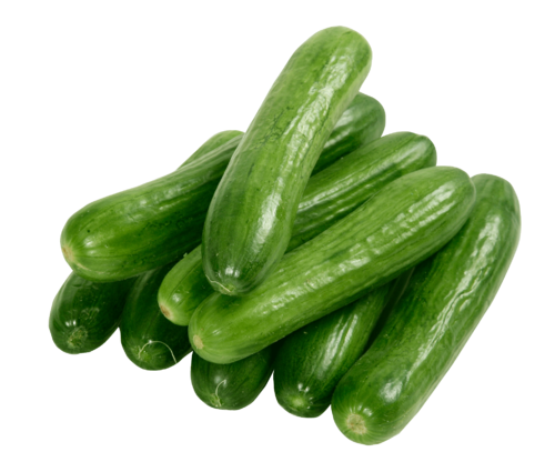 Fresh CUCUMBER $-EACH