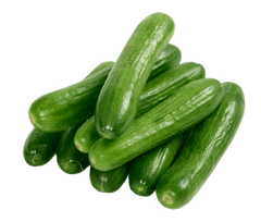 Fresh CUCUMBER $-EACH