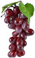 Fresh RED GRAPES $-Lb